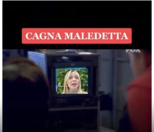 meloni cagna maledetta
